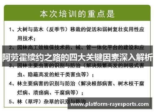 阿劳霍续约之路的四大关键因素深入解析 阿劳霍续约之路的四大关键因素深入解析