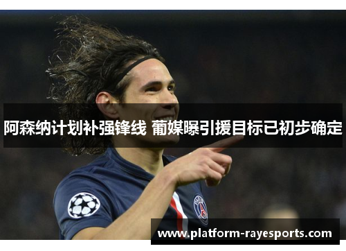 阿森纳计划补强锋线 葡媒曝引援目标已初步确定 阿森纳计划补强锋线 葡媒曝引援目标已初步确定